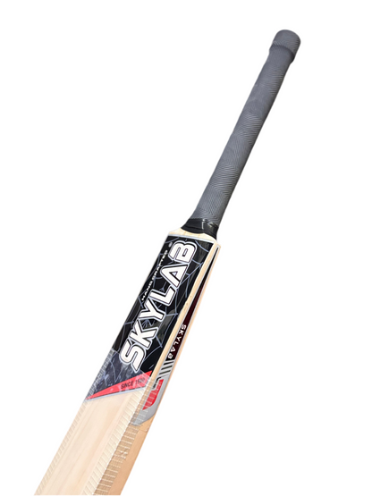 Value Edition Leather Bat
